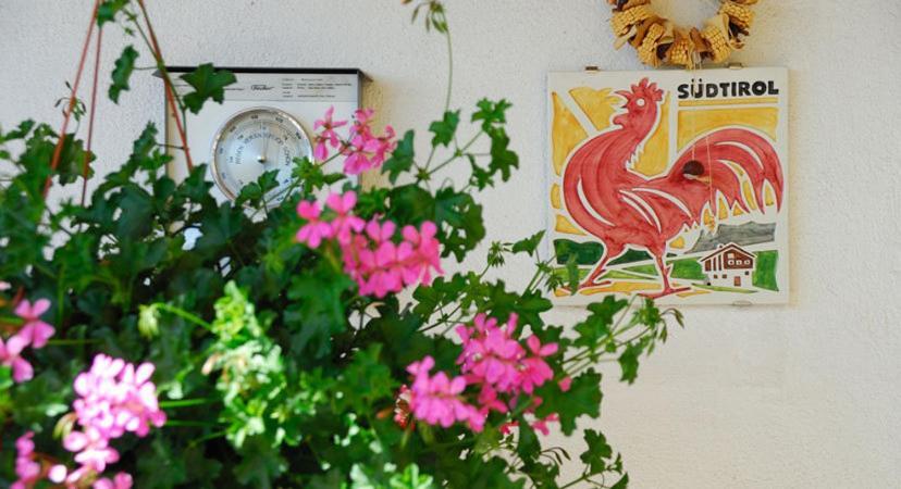 Stocknerhof Villa Bressanone Ngoại thất bức ảnh