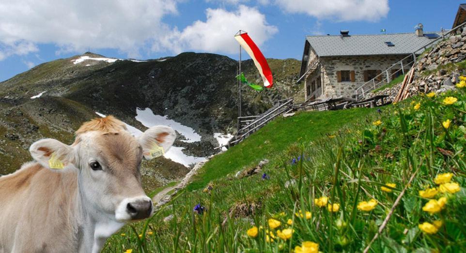 Stocknerhof Villa Bressanone Ngoại thất bức ảnh